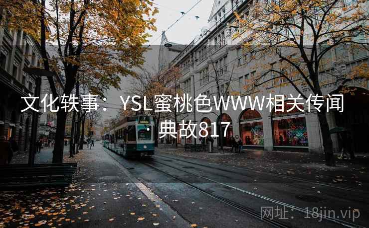 文化轶事：YSL蜜桃色WWW相关传闻 · 典故817  第2张